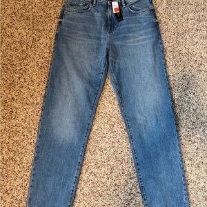 Banana Republic Light Blue Denim Jeans NEW
